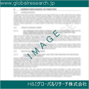 グローバルリサーチ調査資料のイメージ